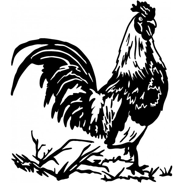 Wonderful blak-ink standing rooster tattoo design