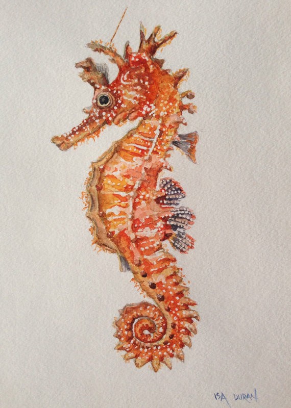 Wonderful orange seahorse with white dots tattoo design