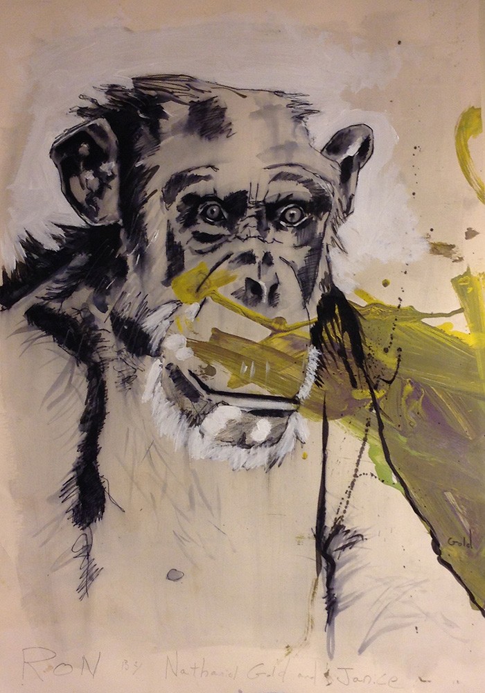Wonderful painted chimpanzee portrait tattoo design