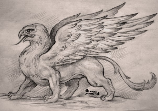 Wonderful pencilwork walking griffin tattoo design