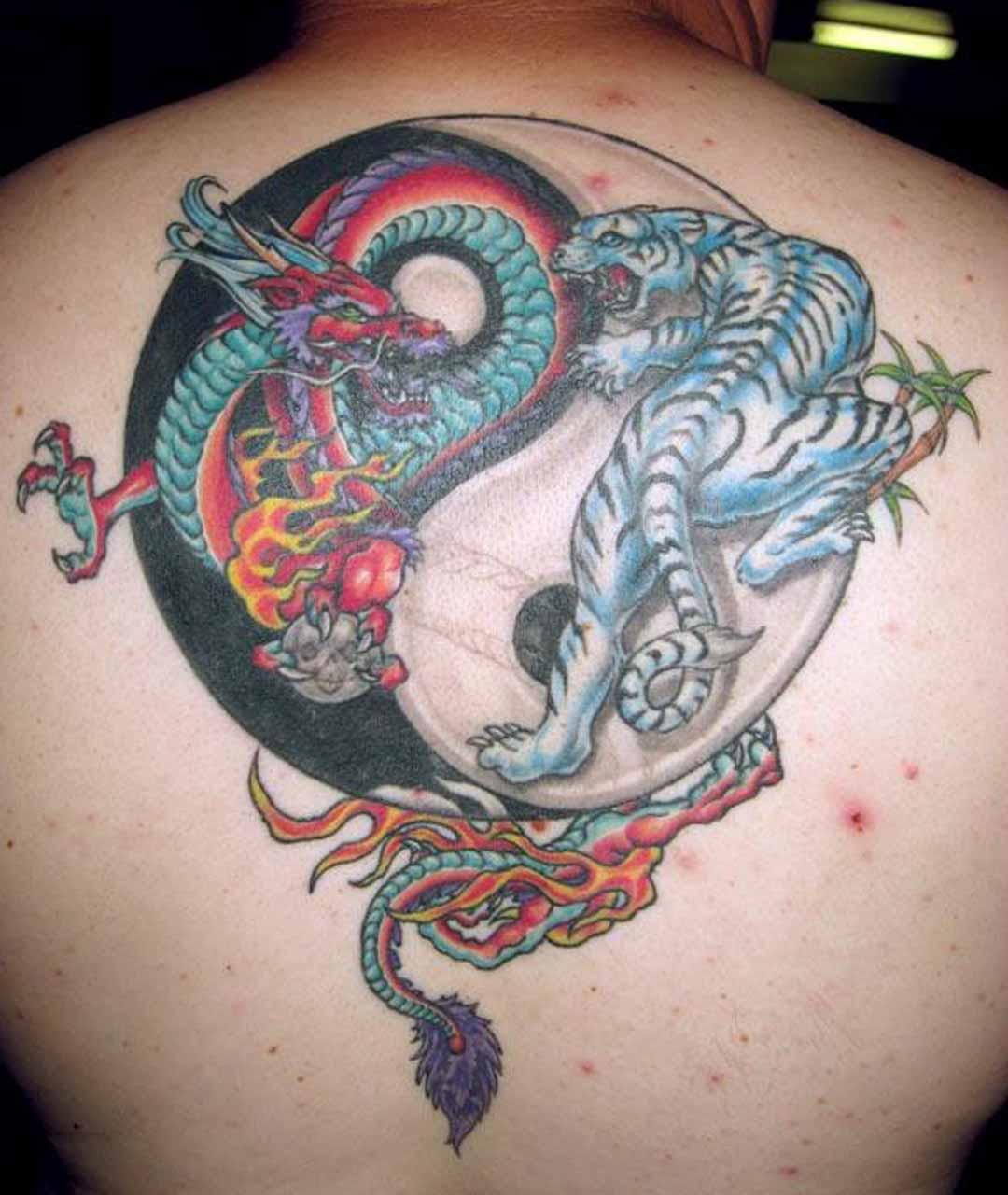 Tatuaje en el brazo, yin yang, tigre, dragón