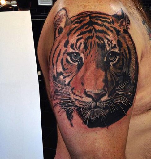 Accurate looking colored cute tiger tattoo on shoulder