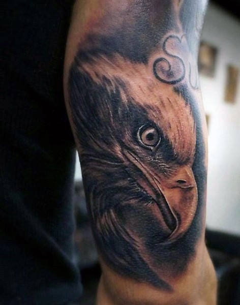realistico dipinto inchiostro nero dettagliato testa aquila tatuaggio su braccio