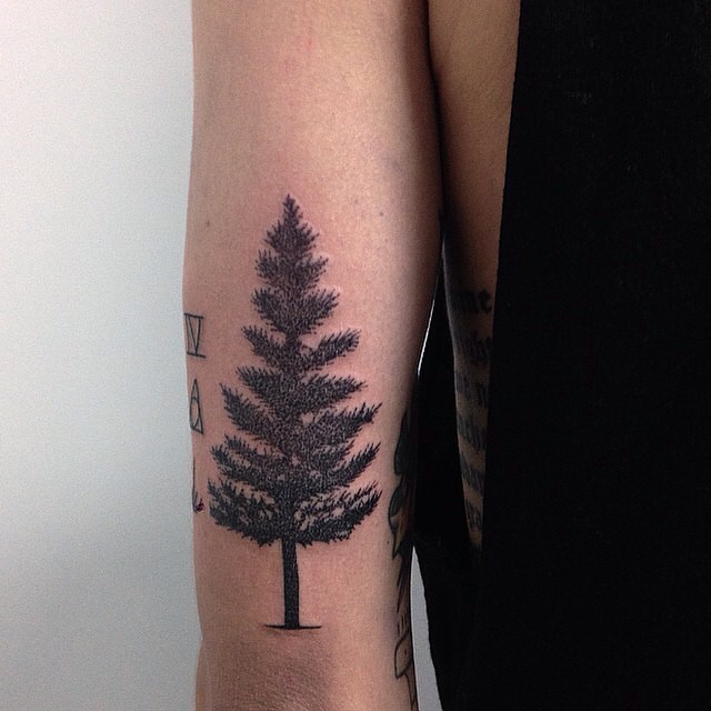 Accurate painted black ink little spruce tree tattoo on arm