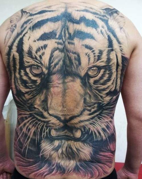 Tatuaje en la espalda,
tigre viejo que gruñe