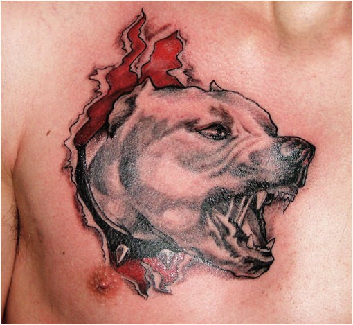 Tatuaggio spaventoso sul petto il cane agressivo