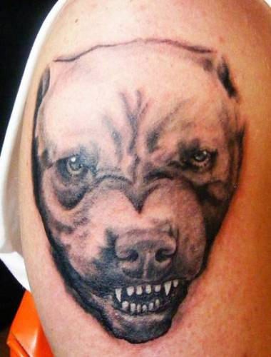 Aggressive pit bull tattoo on shoulder