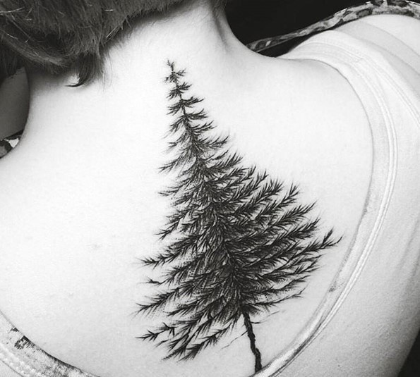 Amazing detailed design pine tree tattoo on back