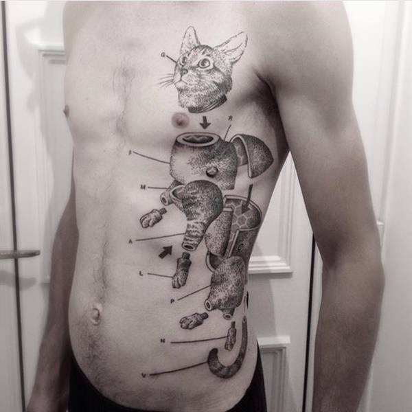 Amazing dot style side tattoo of separated cat
