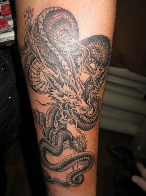 Erstaunliches Tattoo von grauem Drache in Tusche am Unterarm