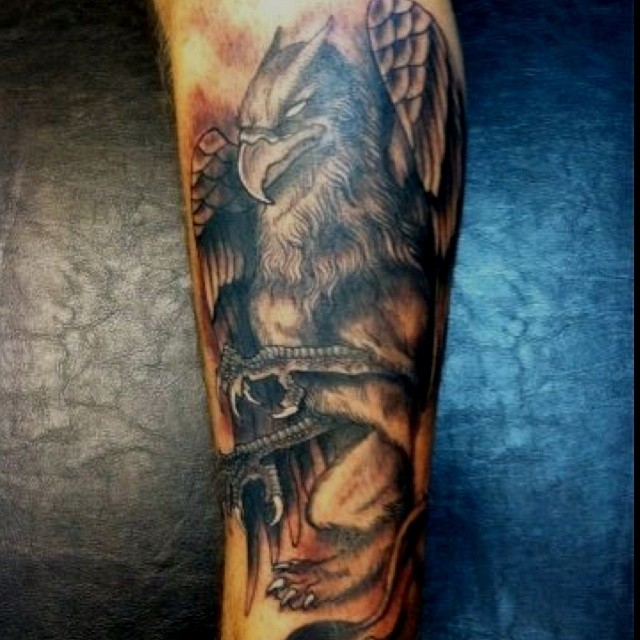 Amazing griffin tattoo looks like real