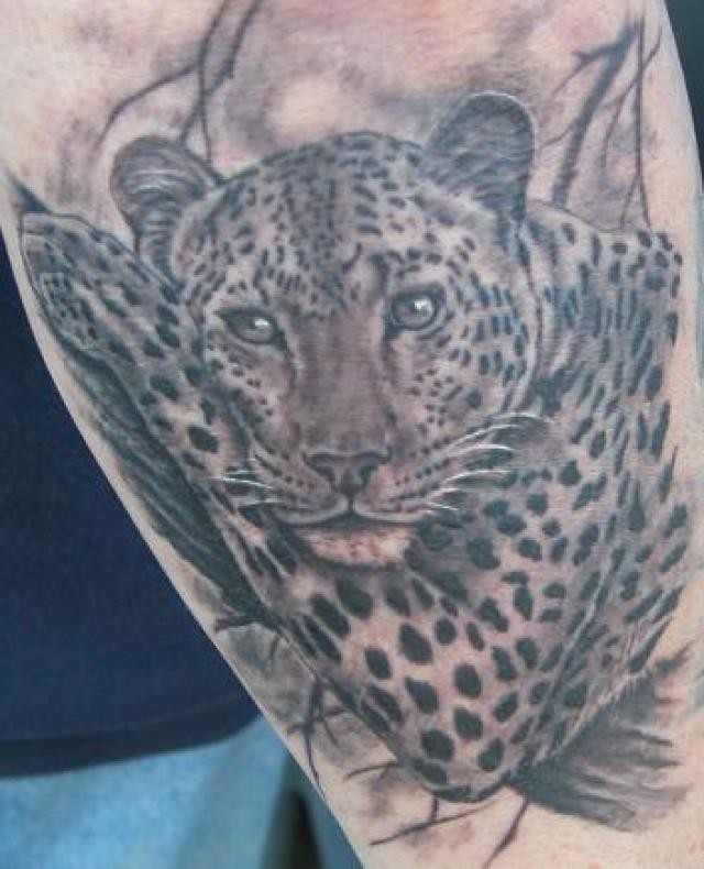 Amazing jaguar tattoo with shadows for boys