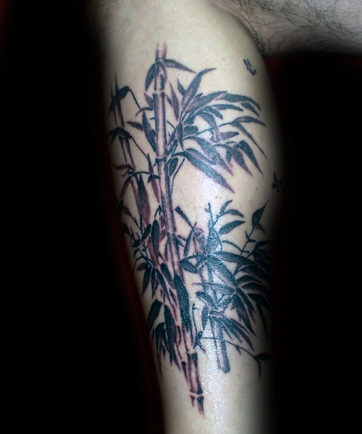 Amazing looking colored leg tattoo of bamboo