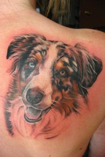 Amazing naturally colored realistic dog&quots portrait memorial tattoo on shoulder blade