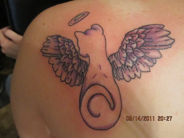 Tatuaje en el hombro, gato ángel con halo