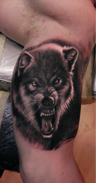 Angry portrait wolf face tattoo on arm