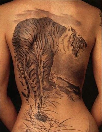 Asian style tiger tattoo on whole back