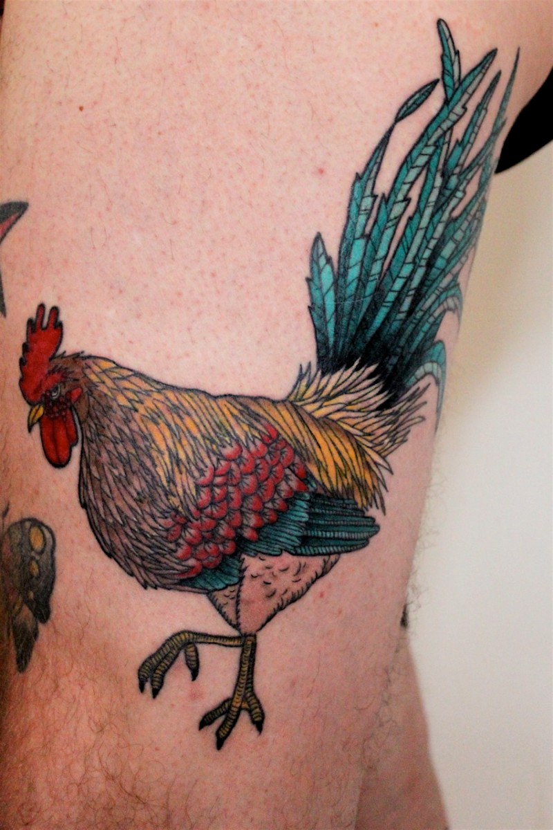Awesome colorful rooster tattoo for boys