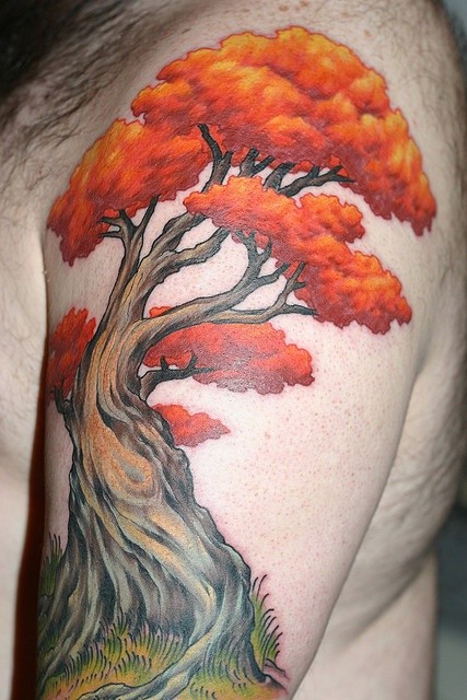 eccezionale albero con cima rossa tatuaggio sulla spalla