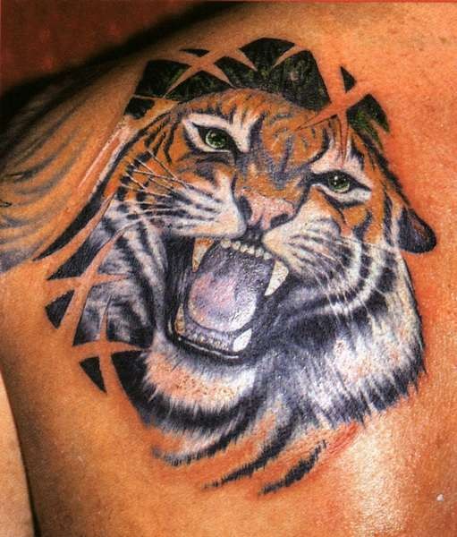 eccezionale tigre colorato tatuaggio sulla spalla