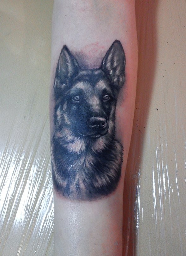 eccezionale pastore tedesco tatuaggio disegno su braccio