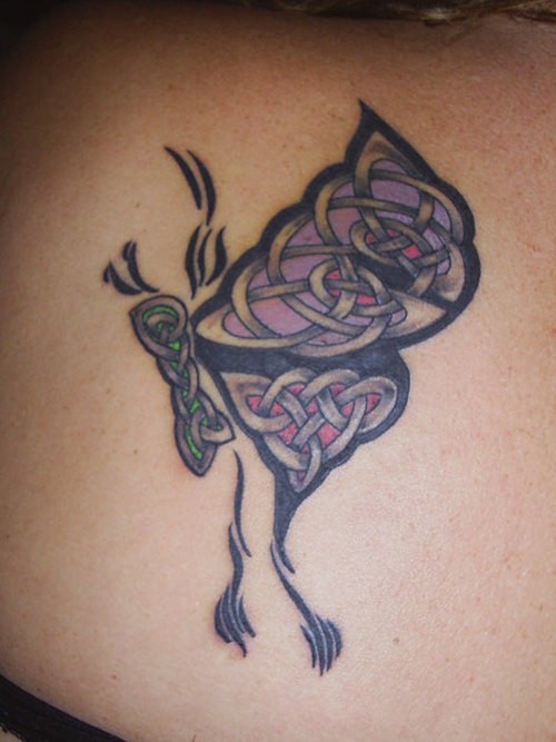 eccezionale dipinto farfalla celtico tatuaggio su corpo di ragazza
