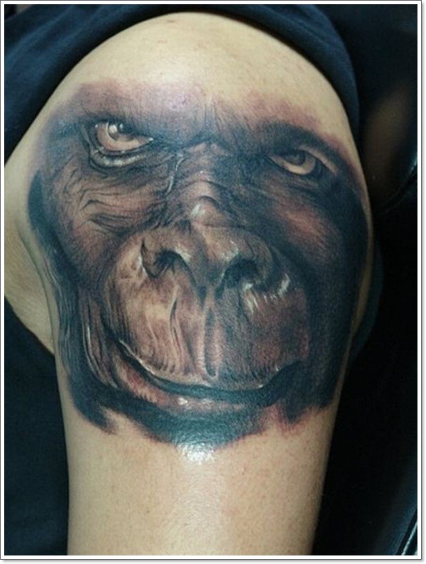 Awesome realistic monkey tattoo on shoulder