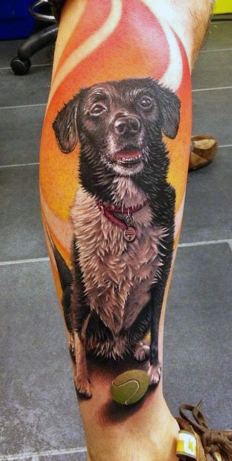 eccezionale realistico foto bel grande cane tatuaggio su gamba