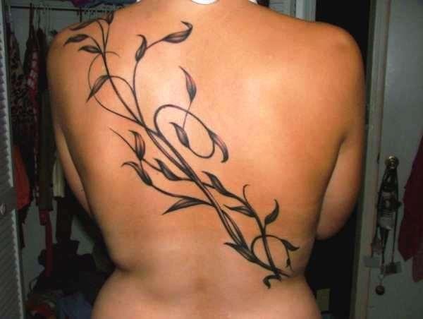 Tatuaje en la espalda,
planta negra sin flores