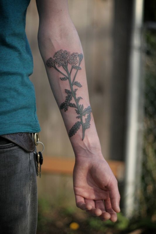 Wunderbare wilde Blume Tattoo am Unterarm von Kirsten Holliday