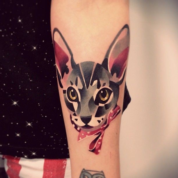 bellissimo acquerello gatto tatuaggio su braccio