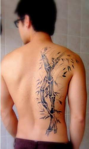 Tatuaggio carino sulla schiena il bambù