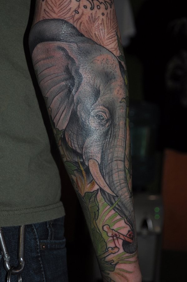 Beautiful colored big natural elephant with bloody done tattoo on arm