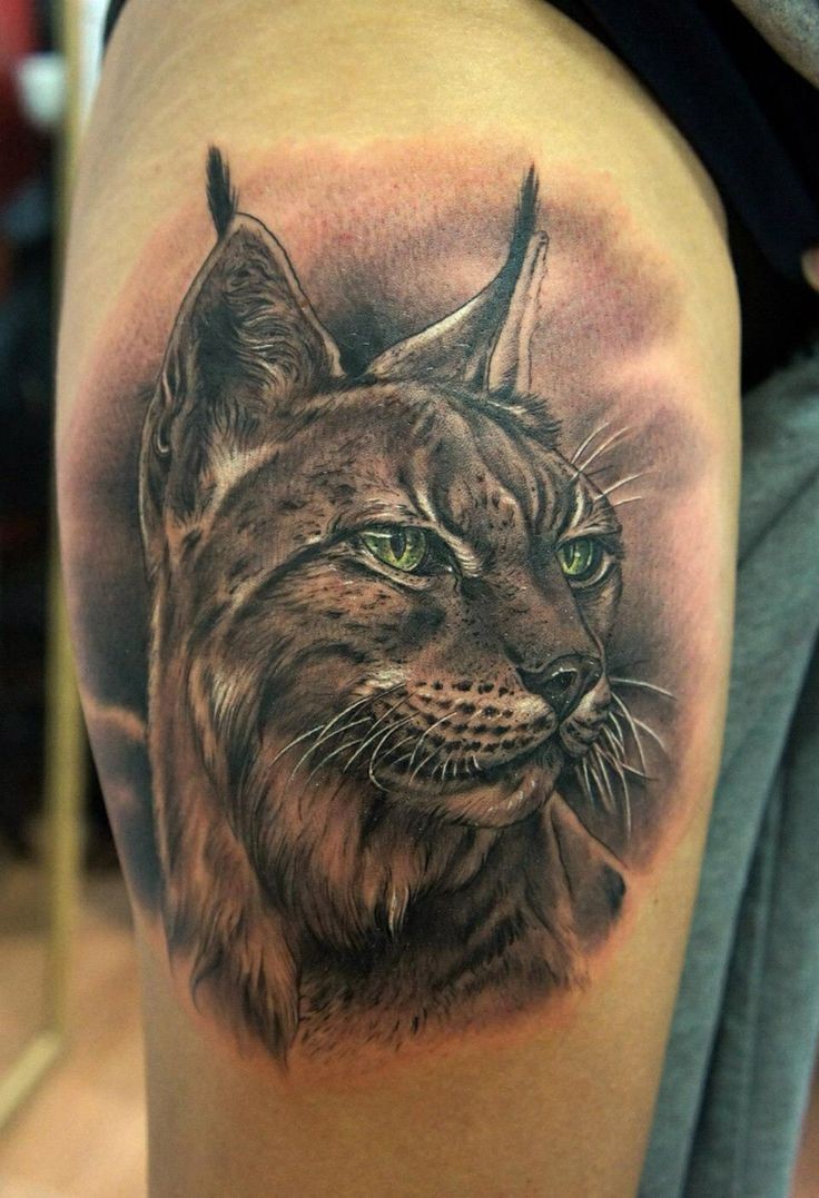 bellissimo ritratto realistico dettagliato  di lince tatuaggio