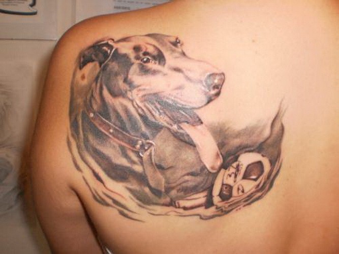 bellissimo cane Doberman giocando con pallone tatuaggio su scapola