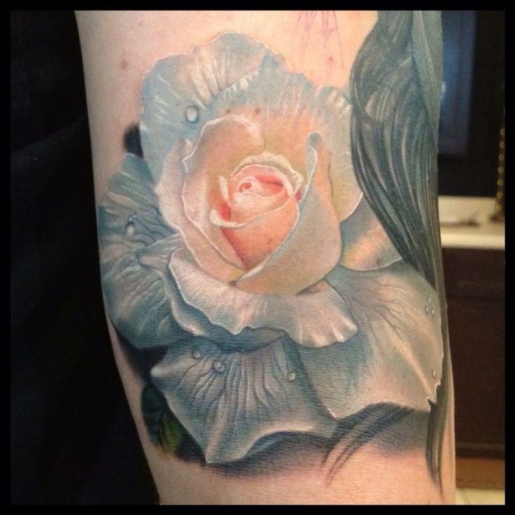Beautiful painted and colored detailed rose with water drops tattoo on arm