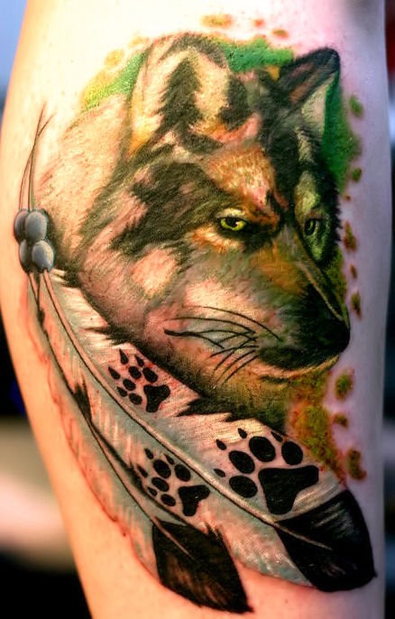 Schön gemaltes und farbiges Tattoo von Wolf mit Feder