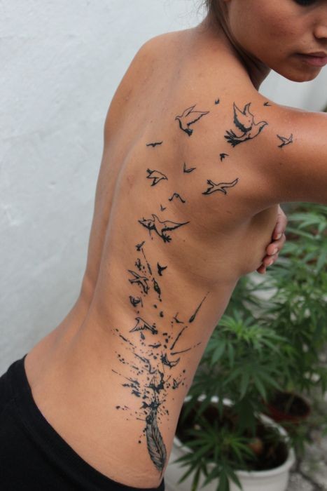 Beautiful painted big black and white various birds tattoo on whole back