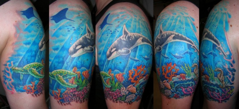 Beautiful painted little colored underwater animals tattoo on shoulder zone