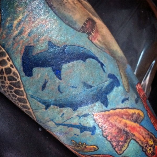 Beautiful painted various colored sharks tattoo on leg