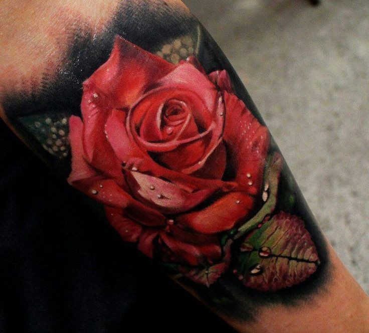 Hübsches realistisches Tattoo mit roter Rose
