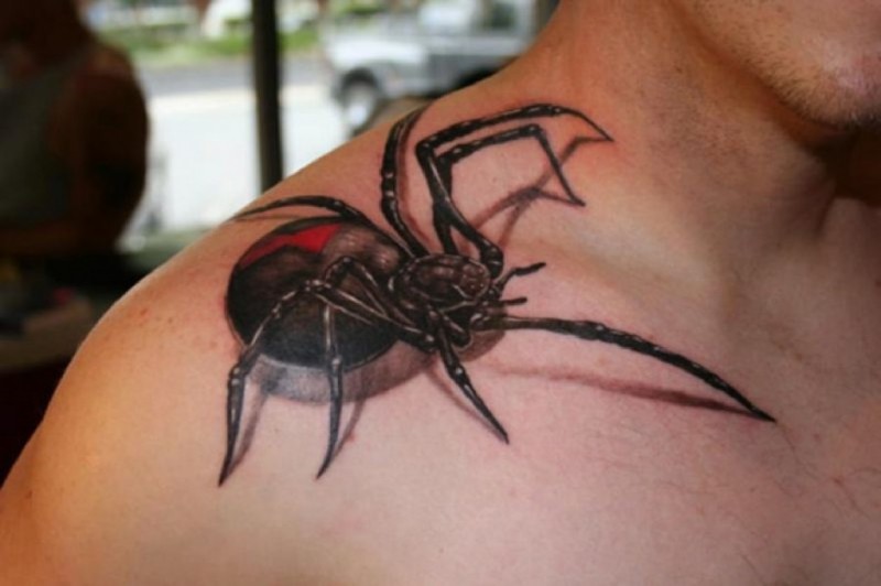 Beautiful realistic spider  tattoo on shoulder