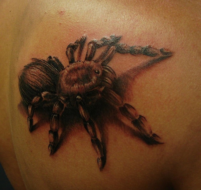 Beautiful realistic spider tattoo