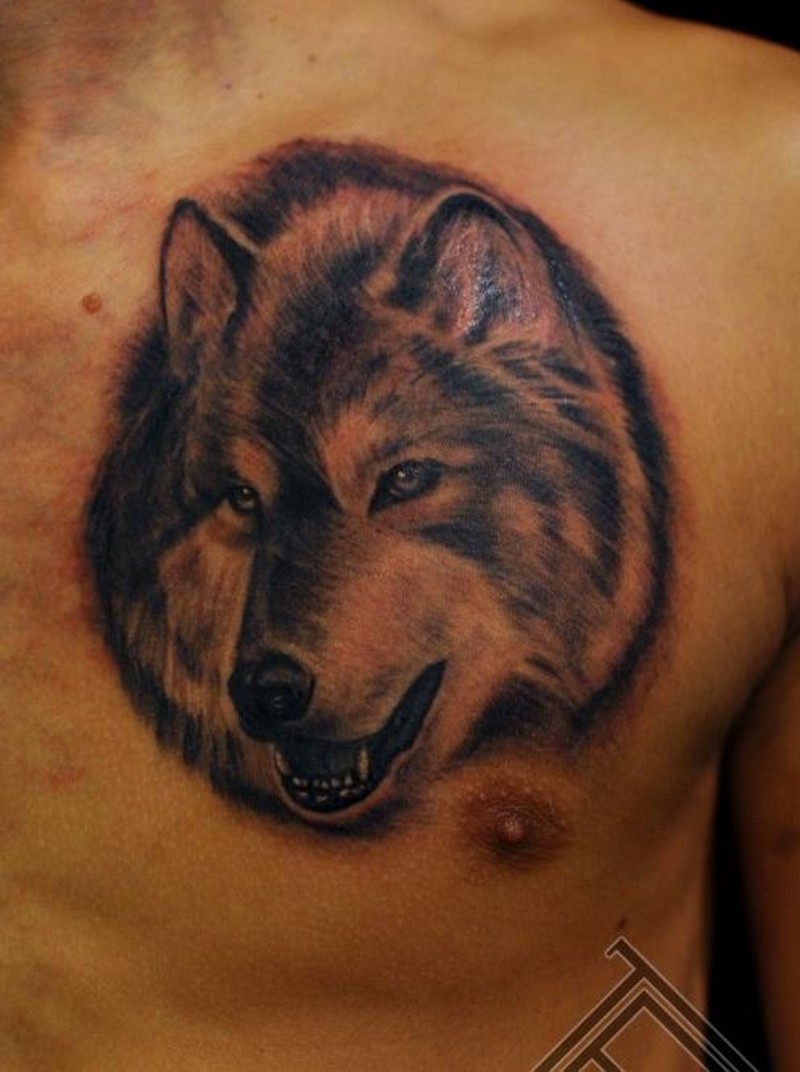 Beautiful realistik wolf head tattoo on chest