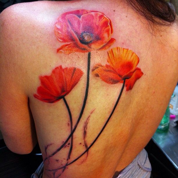 Beautiful red poppies tattoo on back