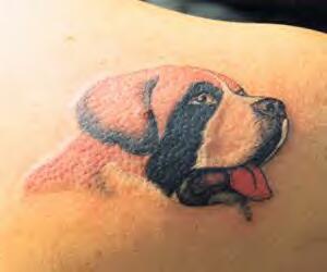 Tatuaje del perro Bethoven.