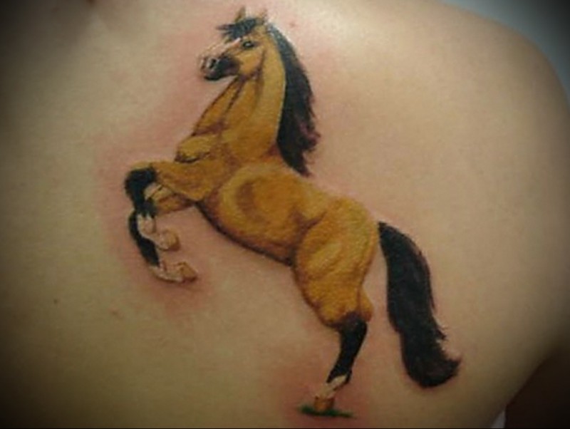 Beige horse tattoo on shoulder blade