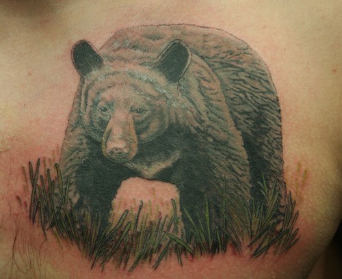 Tatuaje en el pecho, oso pardo en la hierba