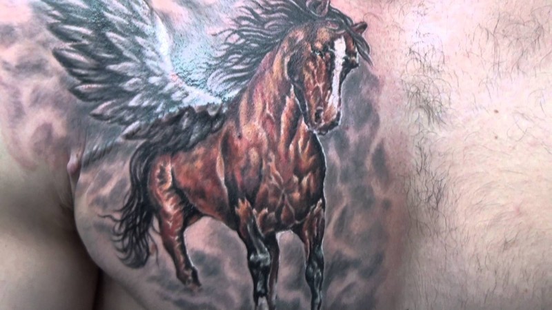 Tatuaje  de caballo pardo con alas blancas