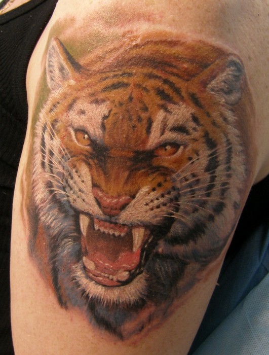 grande colorato realistico tigre tatuaggio sulla spalla